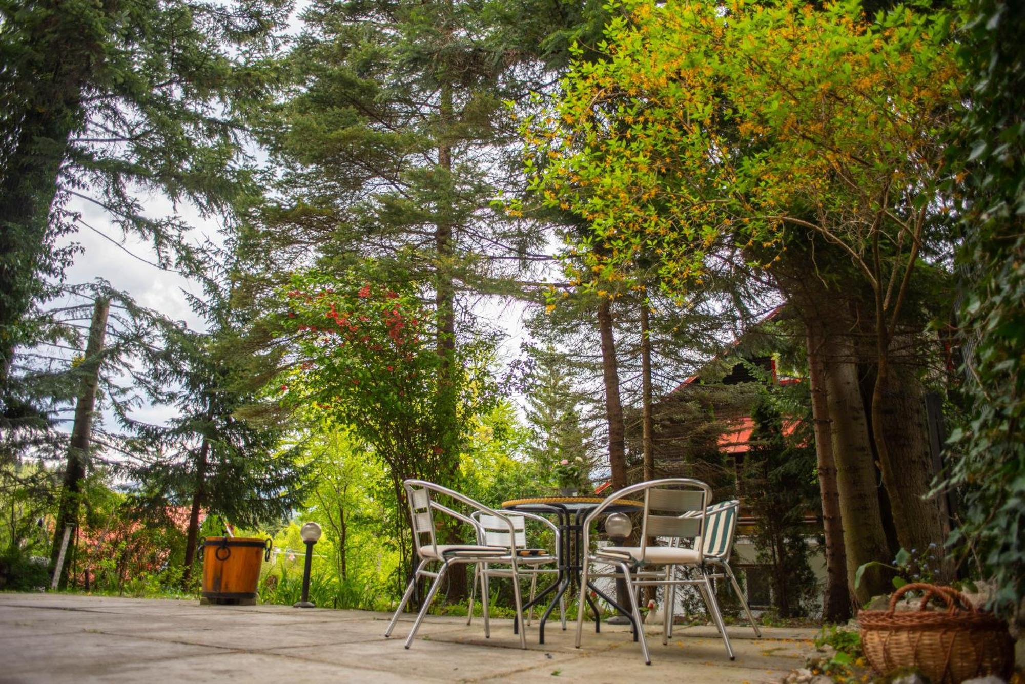 Villa Sara In Sinaia Near Peles & Gondola المظهر الخارجي الصورة