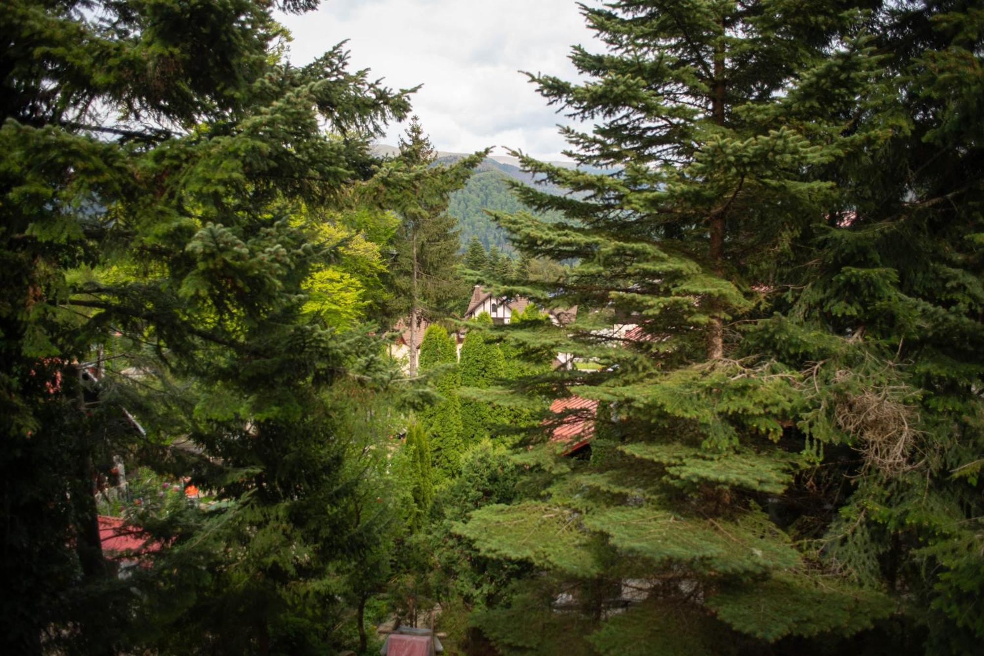 Villa Sara In Sinaia Near Peles & Gondola المظهر الخارجي الصورة